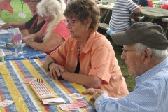 Picnic participants playing card games