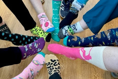 feet in a circle wearing wild socks